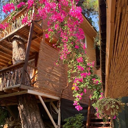 Large Bungalow With Sea View In Kabak Bay, Oeluedeniz Fethiye Exterior photo