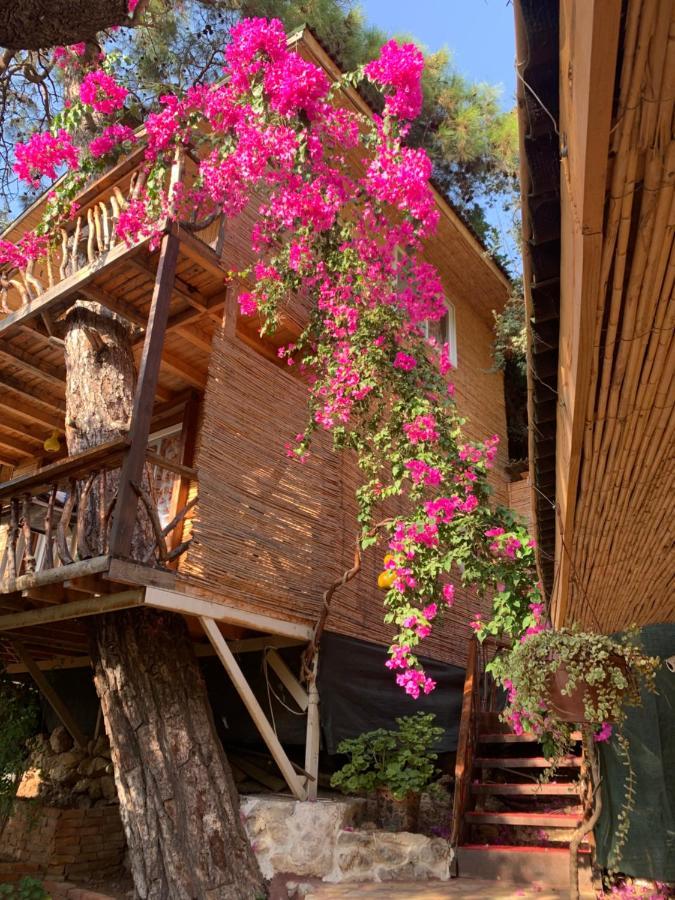 Large Bungalow With Sea View In Kabak Bay, Oeluedeniz Fethiye Exterior photo
