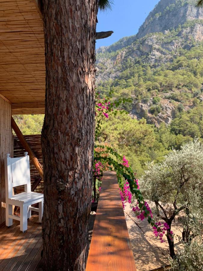 Large Bungalow With Sea View In Kabak Bay, Oeluedeniz Fethiye Exterior photo